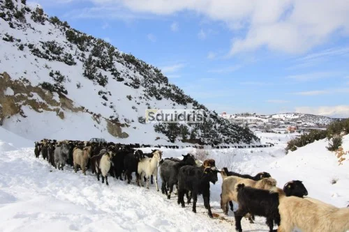 Sarıidris Kasabası Kış Görselleri