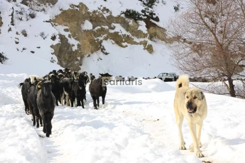 Sarıidris Kasabası Kış Görselleri