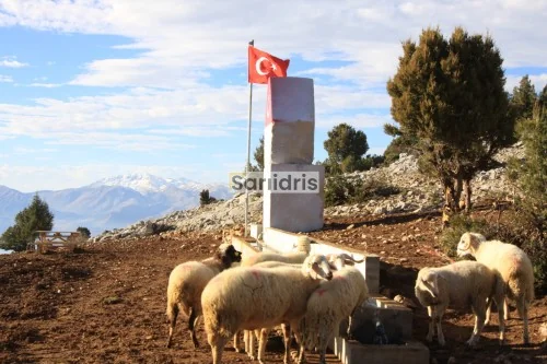 Sarıidris Kasabası Görselleri